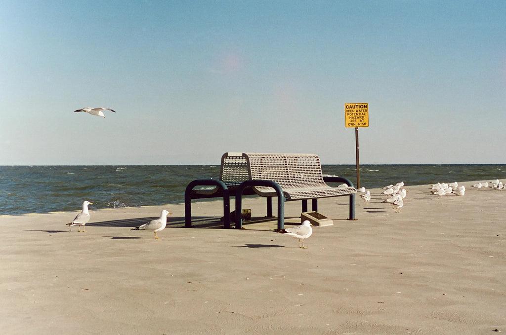 Reflx Lab 100D - 35mm - 1 roll