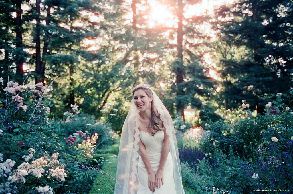 Cinestill 800T - 36 exp - 1 roll